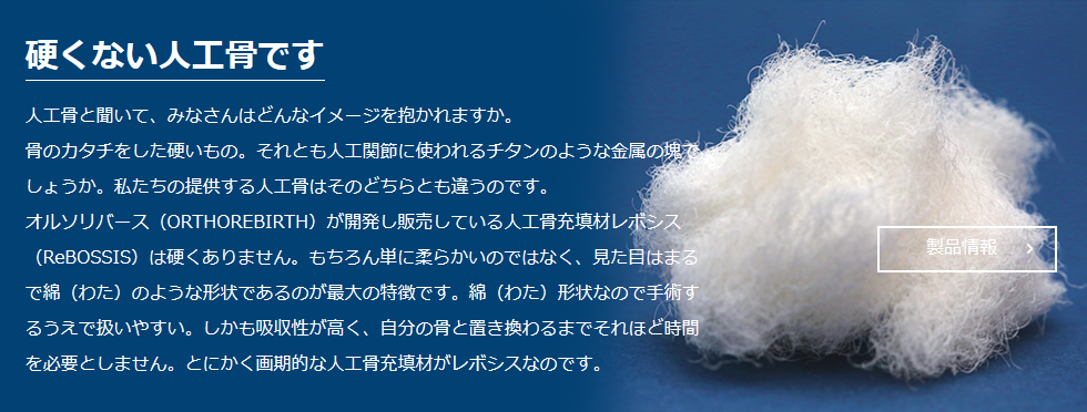 オルソリバース