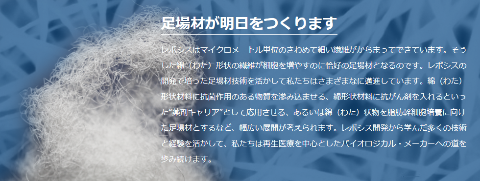 オルソリバース