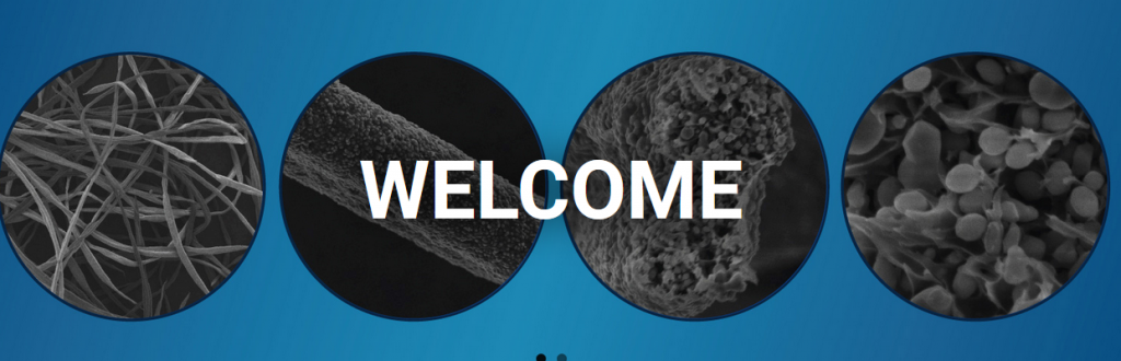 オルソリバース