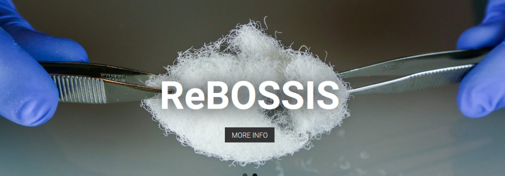 オルソリバース