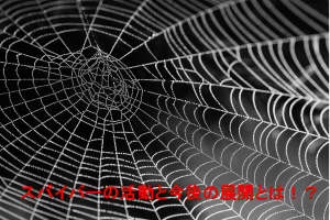 スパイバー|人工のクモ糸「クモノス」で世界最先端をいく会社