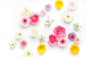 エヌティーエイチ