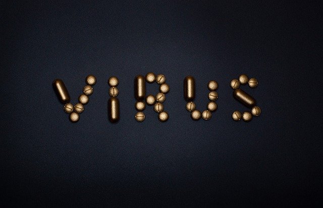 Virus